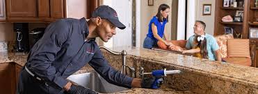 Trusted New Baltimore, OH Pest control Experts